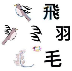 象形字感學中文字練習單-飛、羽、毛